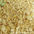 Soyabean Meal for Animal Feed